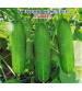 Cucumber / Kakri F1 Iris Indra 20 grams
